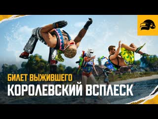 Билет выжившего королевский всплеск pubg battlegrounds