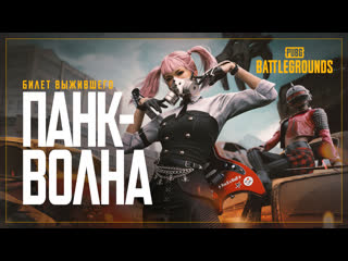 Билет выжившего панкволна pubg battlegrounds