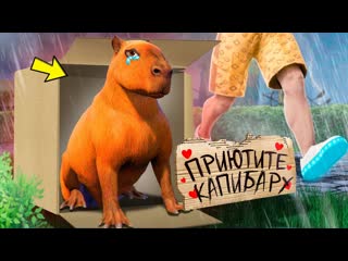 Flazin капибару никто не хочет приютить в гта 5 я стал капибарой на 24 часа в gta 5 1080p