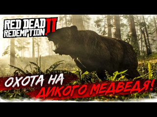 Bulkin охота на огромного дикого медведя что происходит red dead redemption 2 4 1080p