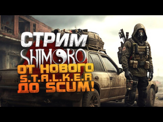 Shimoroshow стрим шиморо новый stalker и dayz