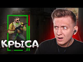 Fenya читер крыса в csgo pubg