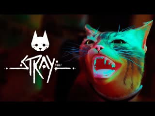 Thebraindit финал котика пробивает до слез брейн играет в stray 6