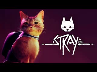 Thebraindit кошачий киберпанк брейн играет в stray