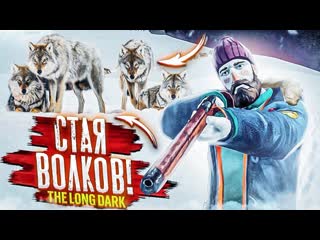 Andyfy на меня напала стая волков только бы выбраться живым прохождение the long dark 22