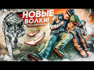 Andyfy новые страшные волки снова нашл ружь прохождение the long dark 14