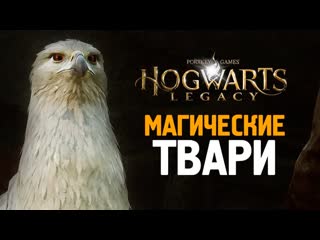 Thebraindit фантастические твари hogwarts legacy 8 1080p