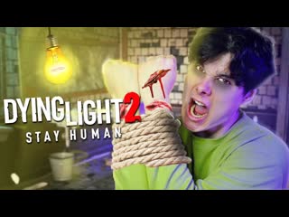 Windy31 я в заложниках dying light 2 stay human 3