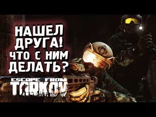 Shimoroshow нашел друга по voip что с ним делать в escape from tarkov