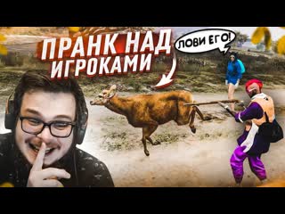 Bulkin очень угарный троллинг игроков я стал кабаном и все пытались меня закабанить на охоте gta 5 rp