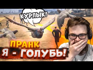 Bulkin угар я голубь полетел на военную базу и затроллил военных gta 5 rp