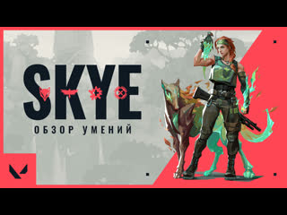 Skye обзор умений агента valorant