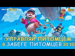 Cg забег питомцев garena free fire