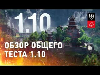 Обзор общего теста 110