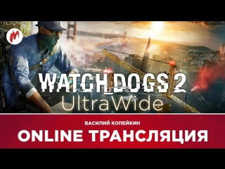 Watch dogs 2 ultra wide