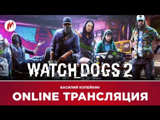 Watch dogs 2 lg ultrawide