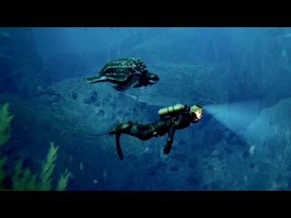 Under the waves world premiere trailer sgf 2023