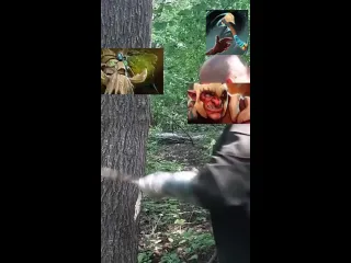 Троль
