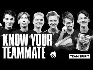 Team spirit dota 2 know your teammate