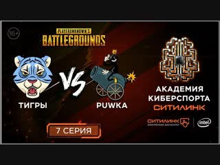 Тигры vs puwka реалитишоу по мотивам pubg i 7 серия i академия киберспорта ситилинк 16