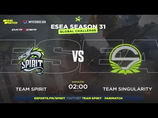 Team spirit team singularity