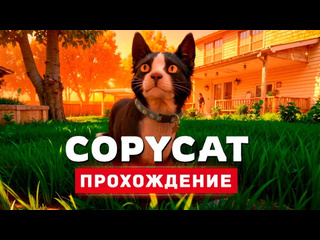 Thebraindit кошачья жизнь прохождение copycat 1080p