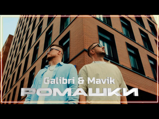 Galibri amp mavik ромашки i клип vqmusic игалибри мавик