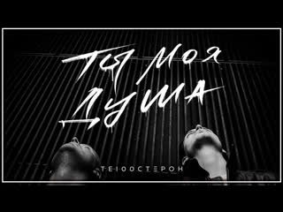 Те100стерон ты моя душа i клип vqmusic тестостерон