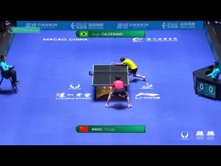 Wang chuqin vs hugo calderano world cup macao 2024 r16