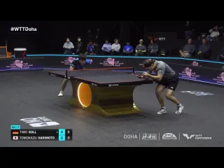 Timo boll vs tomokazu harimoto wtt contender doha 2024 final