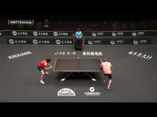 Wang chuqin vs truls moregard wtt cup finals xinxiang 2022 qf