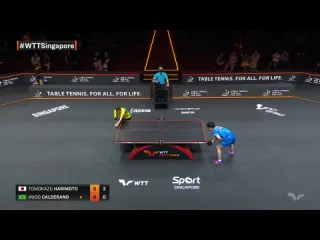 Tomokazu harimoto vs hugo calderano wtt cup finals singapore 2021 sf