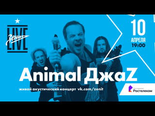 Animal джаz живая акустика зенит live