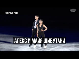 Пхенчхан2018 алекс и майя шибутани