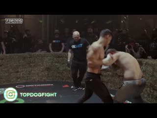 Шах vs веном top dog 6