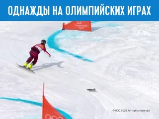 Однажды на олимпийских играх белка