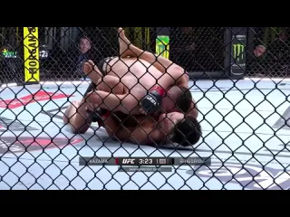 Лучшие моменты и финиши турнира ufc вегас 95 тыбура vs спивак