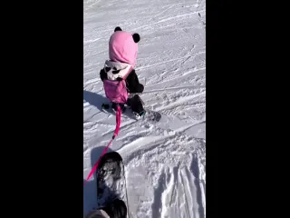 Погнали