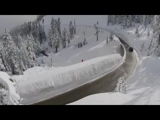 Austen sweetin wind slab