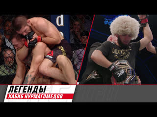 Бойцы ufc про наследие хабиба нурмагомедова