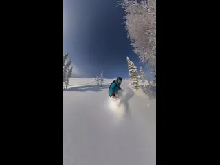 Погнали