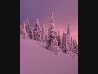 Природные интерьеры