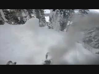 На сноуборде по лесу сноуборд snowboard