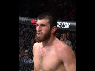 Восхождение магомеда анкалаева в ufc