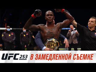 Ufc 253 в замедленной съемке