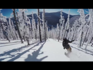 Серфинг на сноуборде в лесу сноуборд snowboard