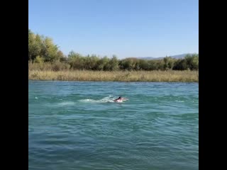 Хабиб нурмагомедов против течения в одной из рек дагестана