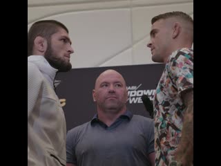 Дуэли взглядов перед ufc 242