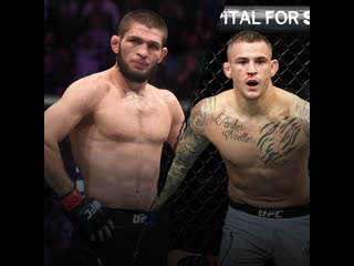 Промо главного боя ufc 242 хабиб vs порье