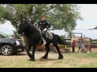 Saul alvarez horse tricks